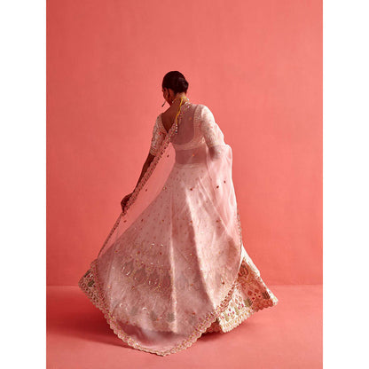 Aarti Sethia Studio Powdered Pink Lehenga with Blouse and Dupatta (Set of 3)