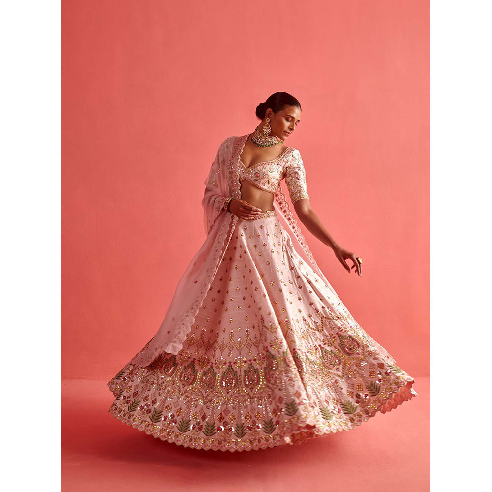 Aarti Sethia Studio Powdered Pink Lehenga with Blouse and Dupatta (Set of 3)