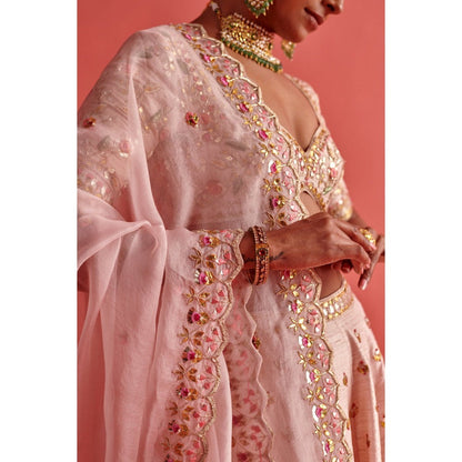Aarti Sethia Studio Powdered Pink Lehenga with Blouse and Dupatta (Set of 3)