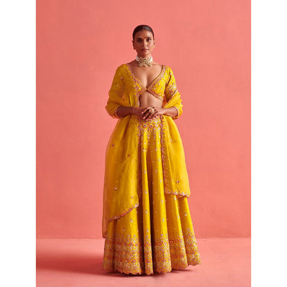 Aarti Sethia Studio Yellow Lehenga with Blouse and Dupatta (Set of 3)