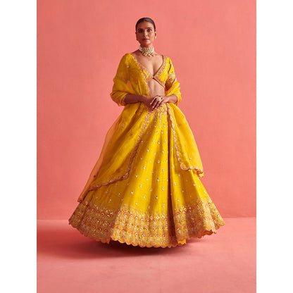 Aarti Sethia Studio Yellow Lehenga with Blouse and Dupatta (Set of 3)