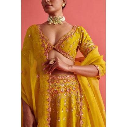 Aarti Sethia Studio Yellow Lehenga with Blouse and Dupatta (Set of 3)
