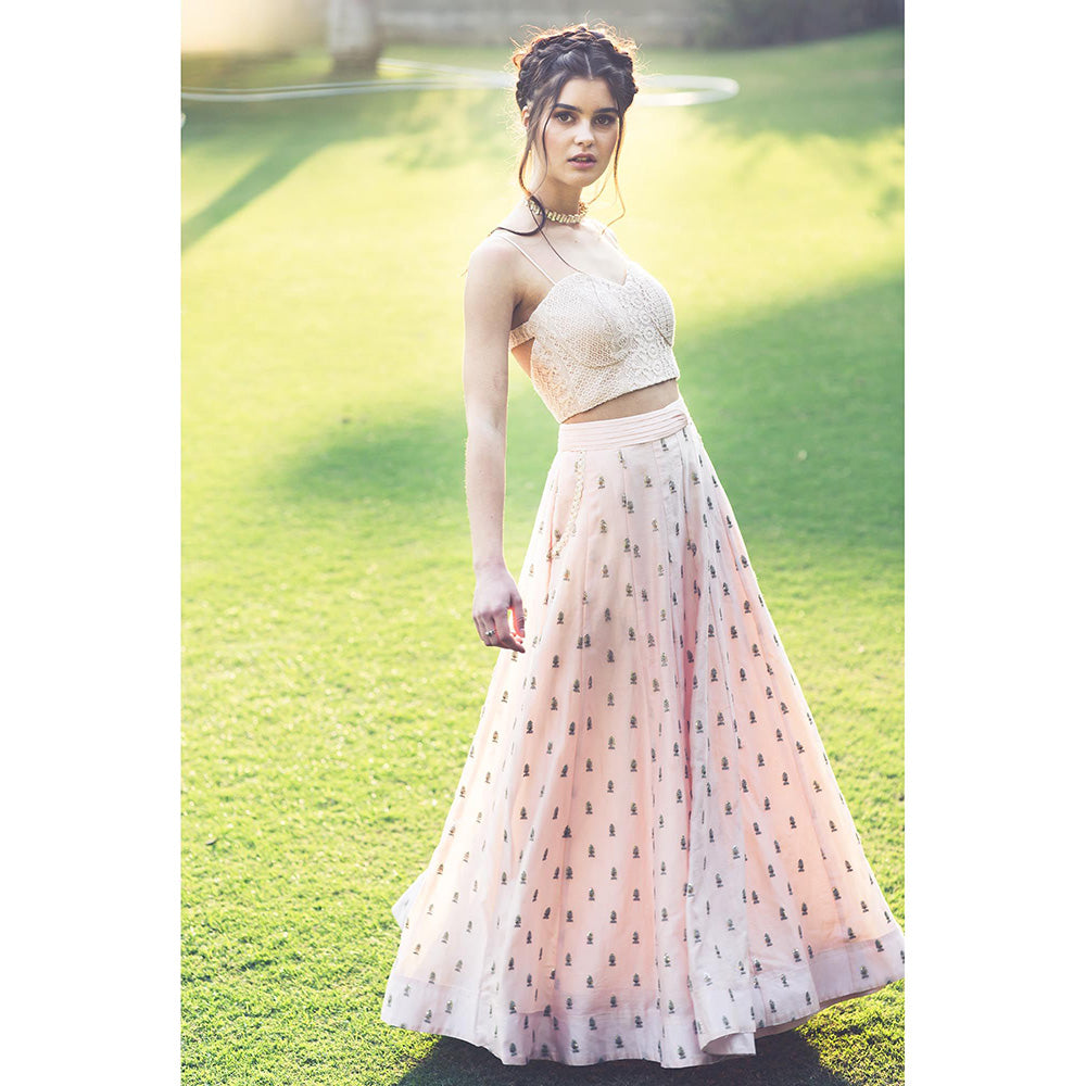 Aaryaa By Kashveen Kohli Nude Pink Crochet Crop Top and Embroidered Pocket Skirt (Set of 2)