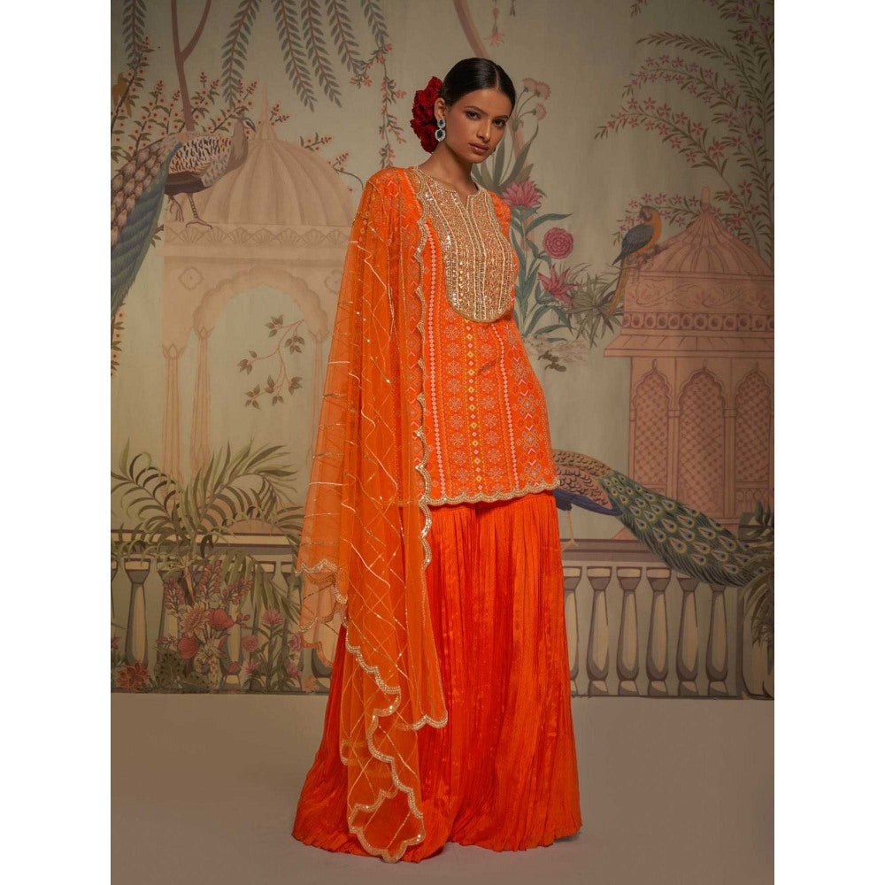 Aayushi Maniar Tangerine Patola Gharara and Tunic with Dupatta Orange (Set of 3)