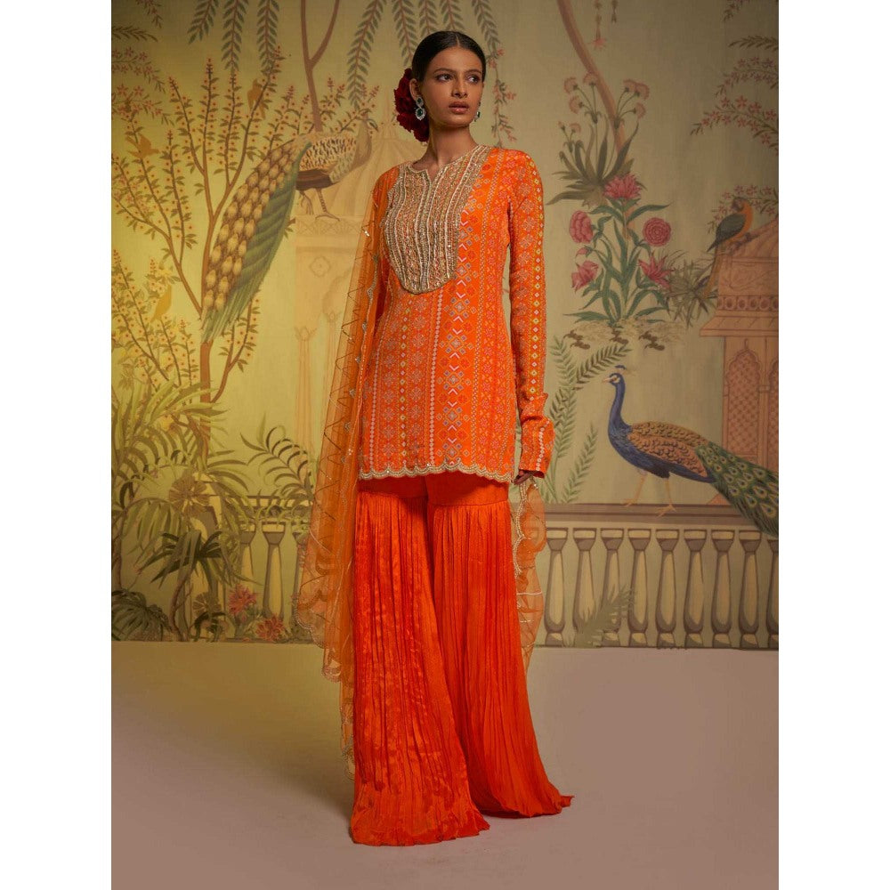Aayushi Maniar Tangerine Patola Gharara and Tunic with Dupatta Orange (Set of 3)