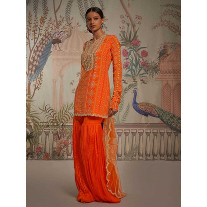 Aayushi Maniar Tangerine Patola Gharara and Tunic with Dupatta Orange (Set of 3)