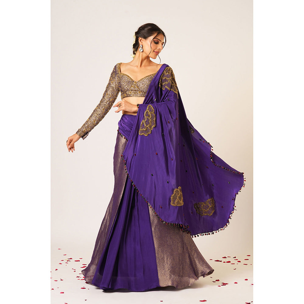 Aayushi Maniar Blue Ambika Pre-Draped Saree with Stitched Blouse