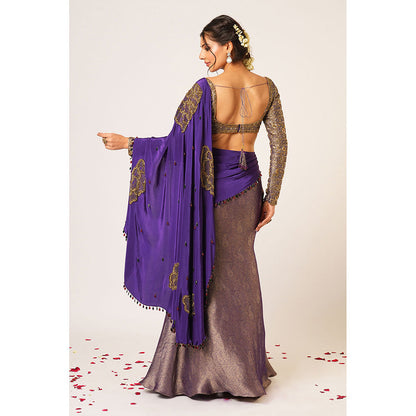 Aayushi Maniar Blue Ambika Pre-Draped Saree with Stitched Blouse