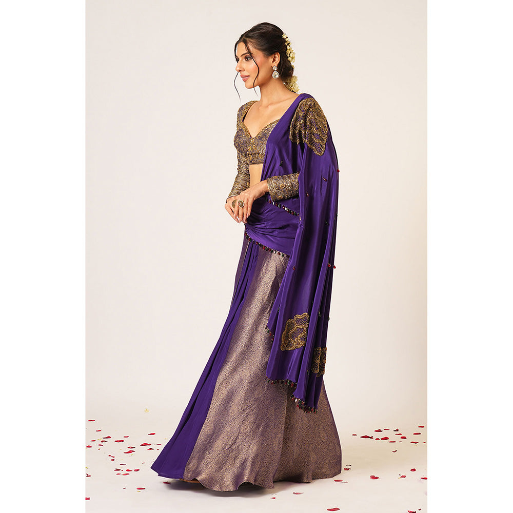 Aayushi Maniar Blue Ambika Pre-Draped Saree with Stitched Blouse