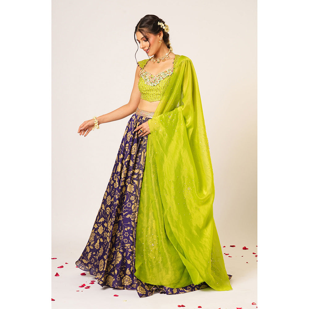 Aayushi Maniar Green Maitreyi Lehenga with Blouse and Dupatta (Set of 3)