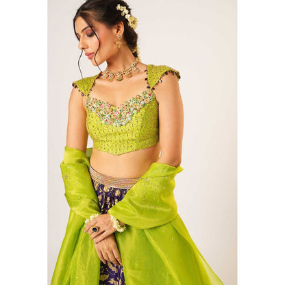 Aayushi Maniar Green Maitreyi Lehenga with Blouse and Dupatta (Set of 3)