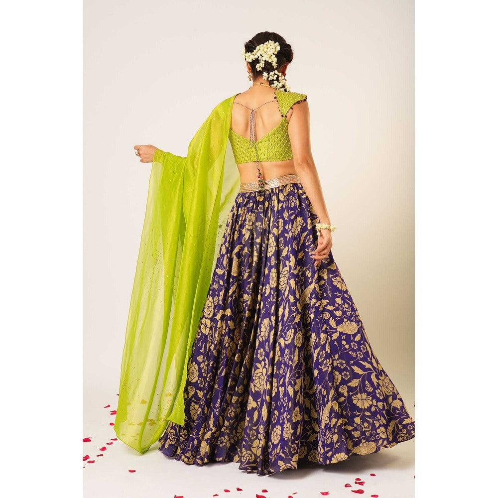 Aayushi Maniar Green Maitreyi Lehenga with Blouse and Dupatta (Set of 3)