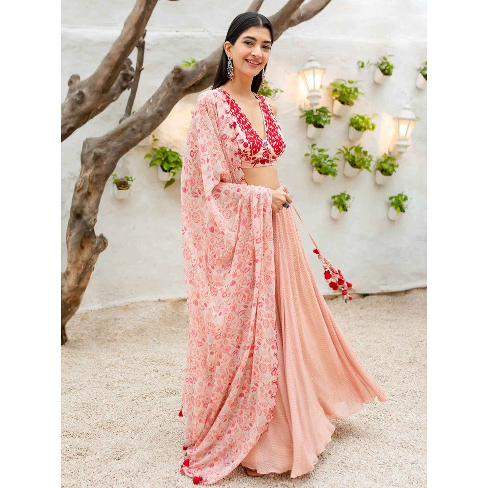 1999AD Ilayda Peach Lehenga & Blouse & Dupatta (Set of 3)