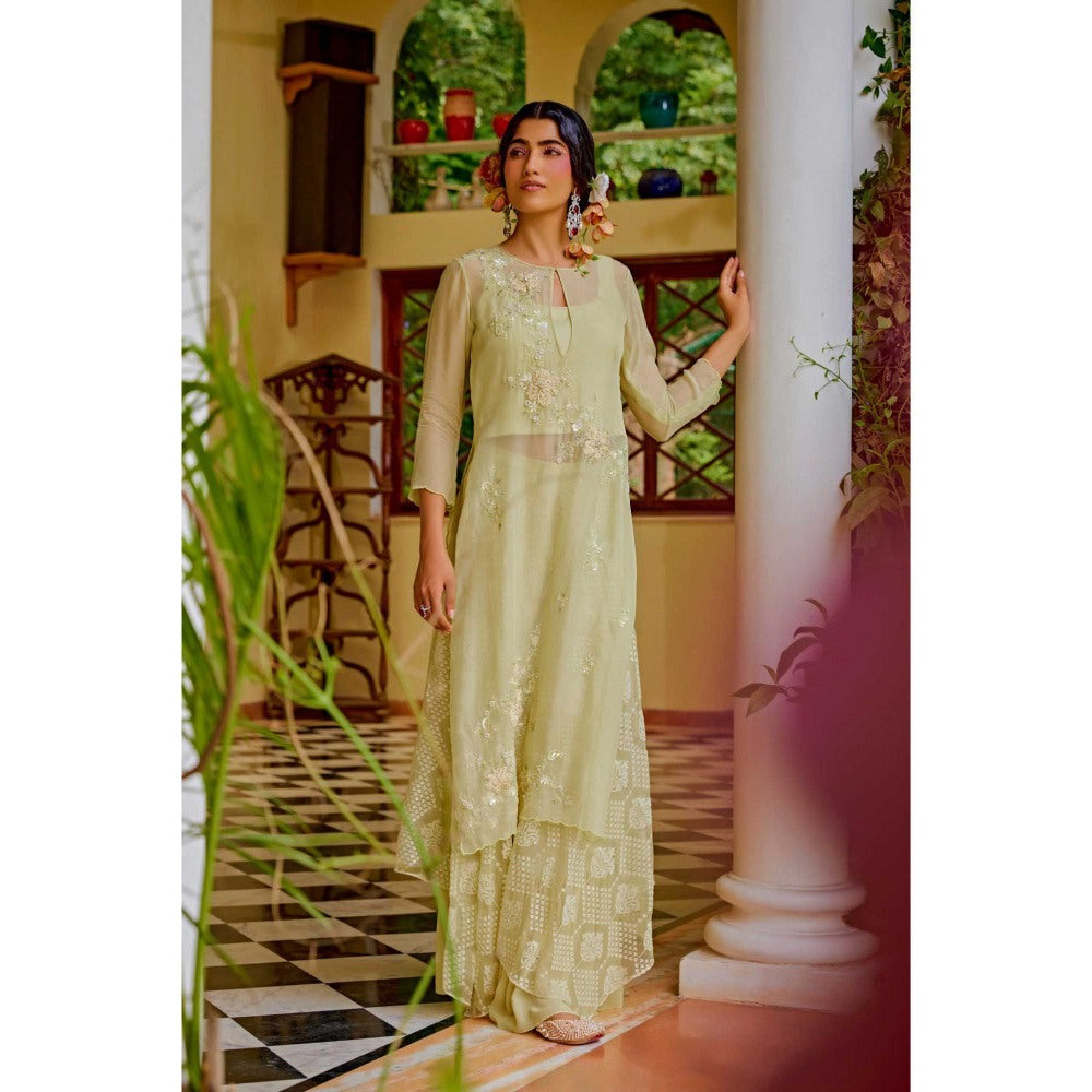 1999AD Green Embroidered Kurta with Bustier and sharara (Set of 3)
