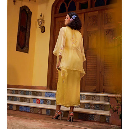 1999AD Light Yellow Sheer Cape With Dress (Set of 2)