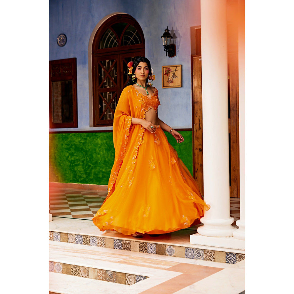 1999AD Orange Lehenga With Blouse And Dupatta (Set of 3)