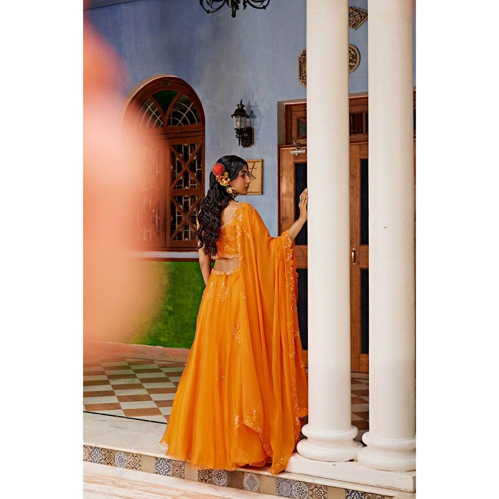 1999AD Orange Lehenga With Blouse And Dupatta (Set of 3)