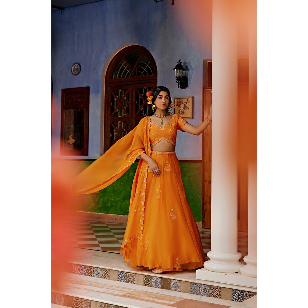 1999AD Orange Lehenga With Blouse And Dupatta (Set of 3)