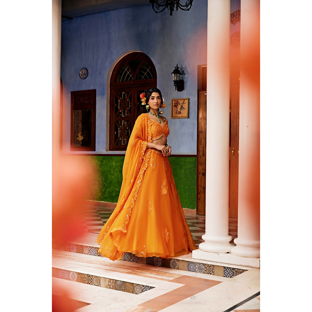 1999AD Orange Lehenga With Blouse And Dupatta (Set of 3)