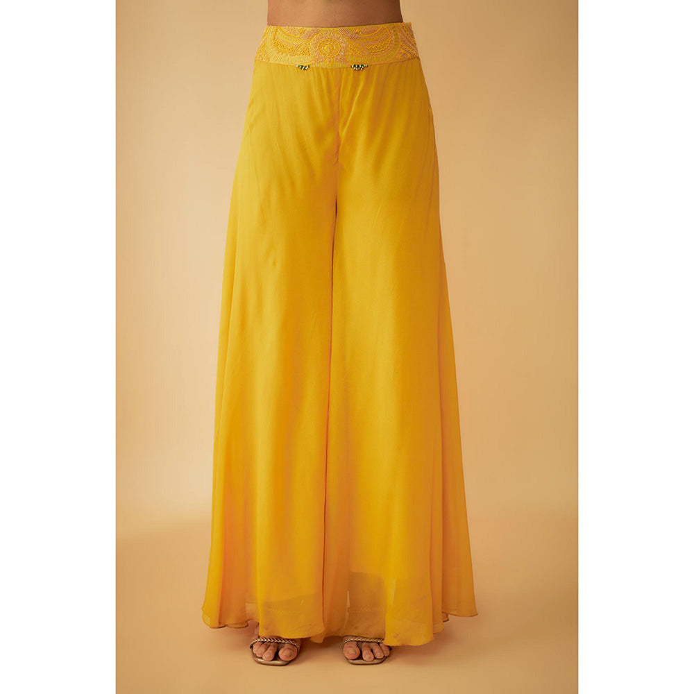 1999AD Organza Yellow Embroidered Jacket with Crop Top and Sharara (Set of 3)