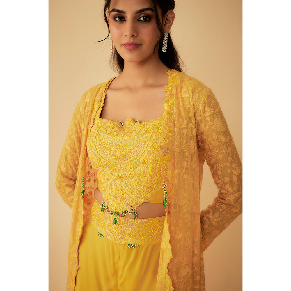 1999AD Organza Yellow Embroidered Jacket with Crop Top and Sharara (Set of 3)