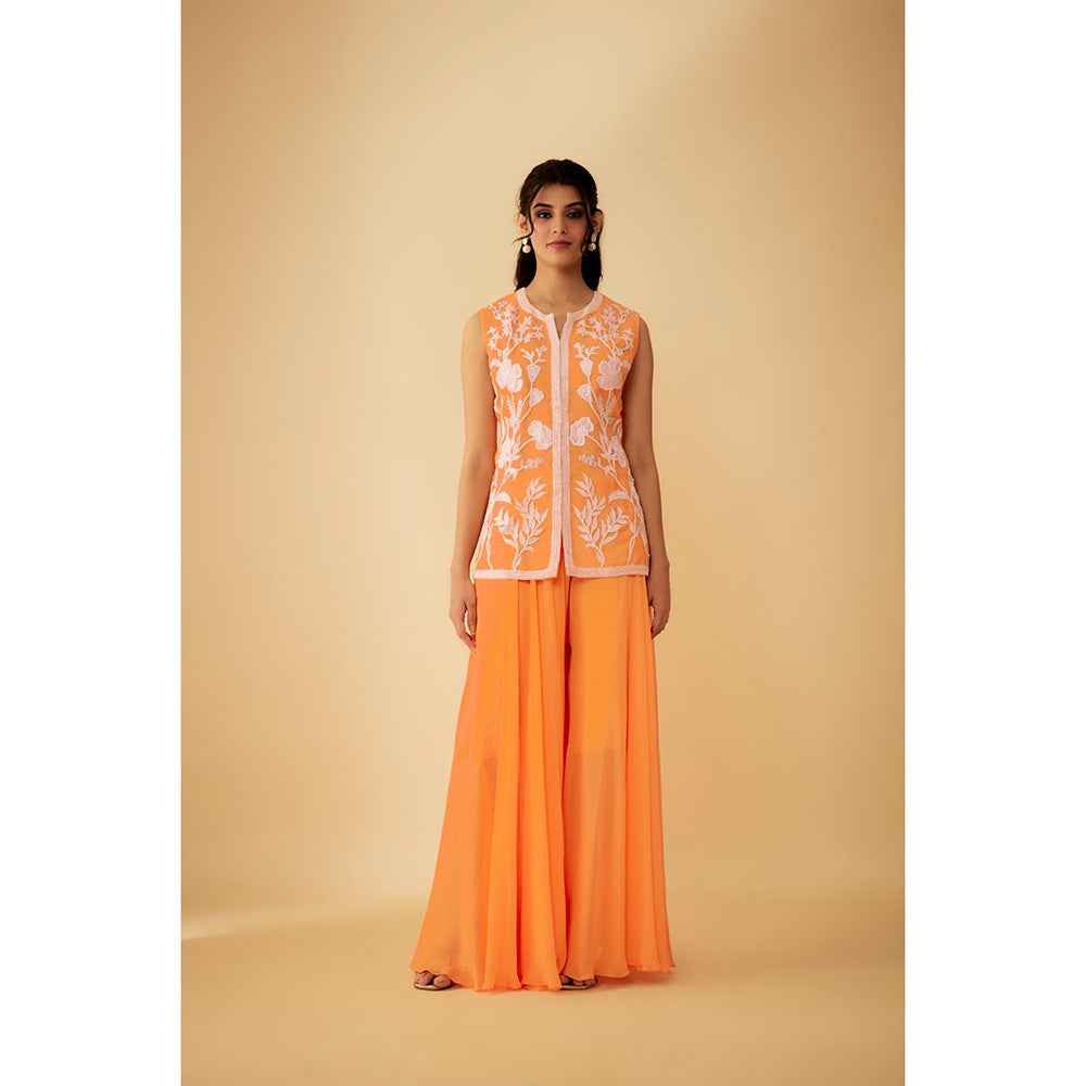 1999AD Orange Organza White Applique Kat dana Work Kurti with Sharara (Set of 2)