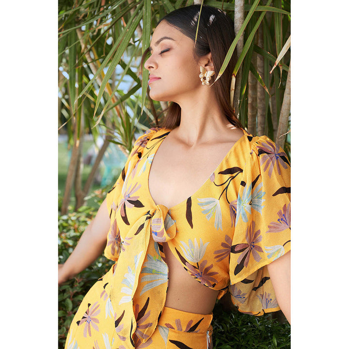 AFFROZ Summer Bloom Flared Sharara and Crop Top Co Ord Set (Set of 2)