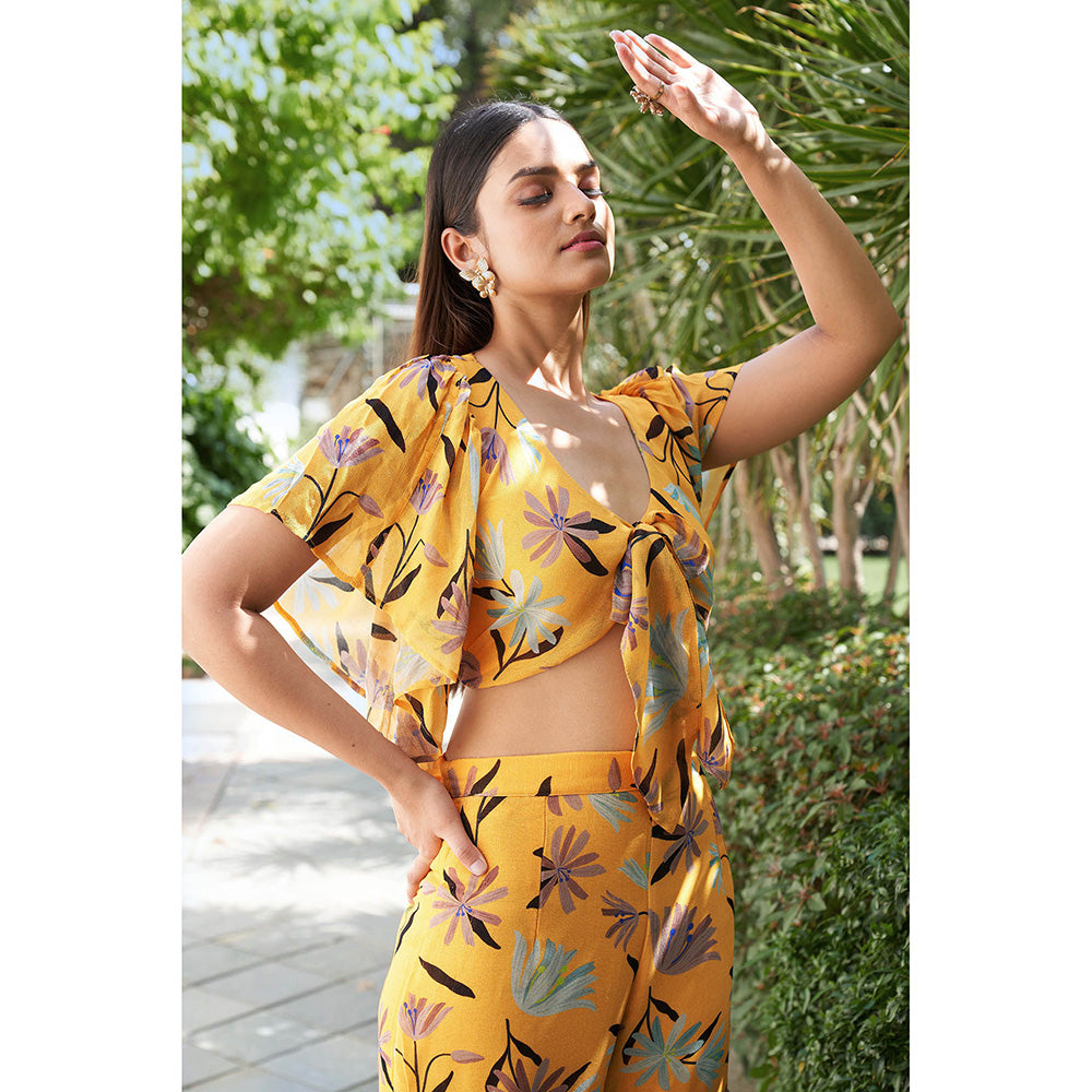 AFFROZ Summer Bloom Flared Sharara and Crop Top Co Ord Set (Set of 2)