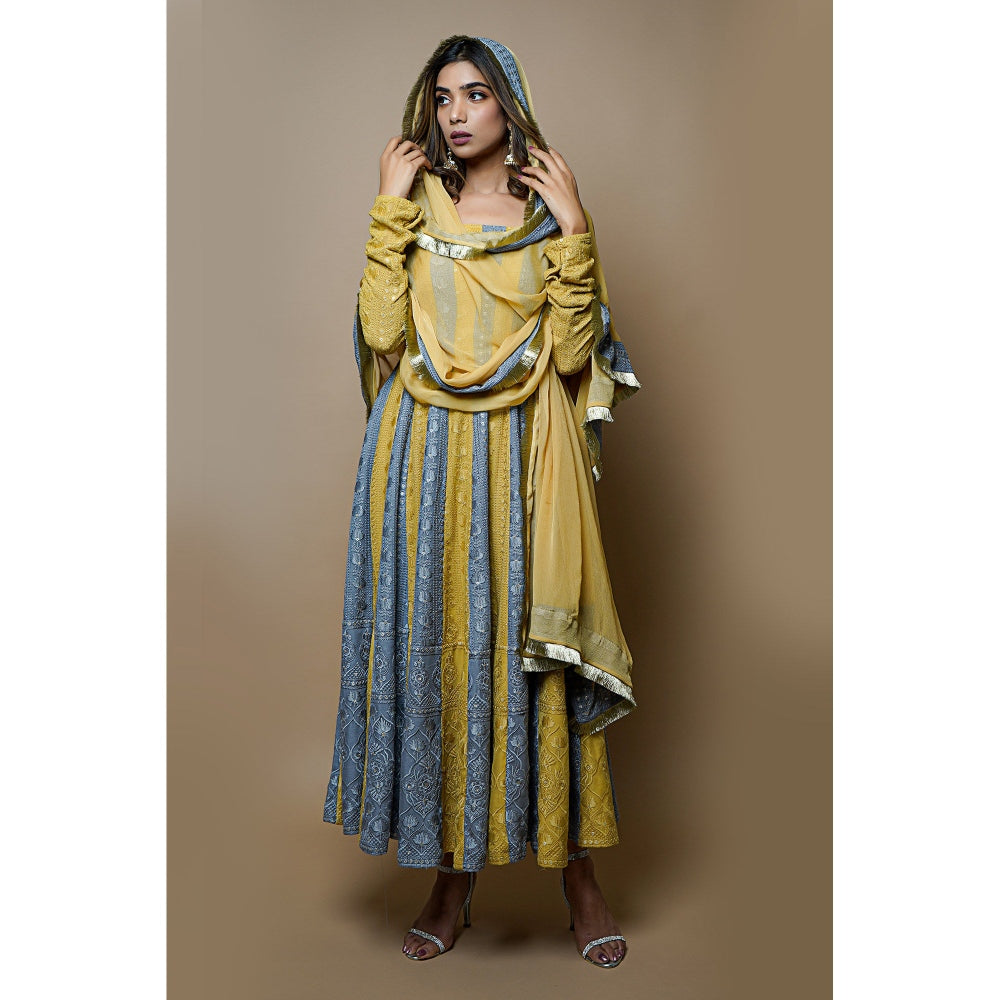 Ahi Clothing Yellow-Grey Chikankari Anarkali (Set of 3)