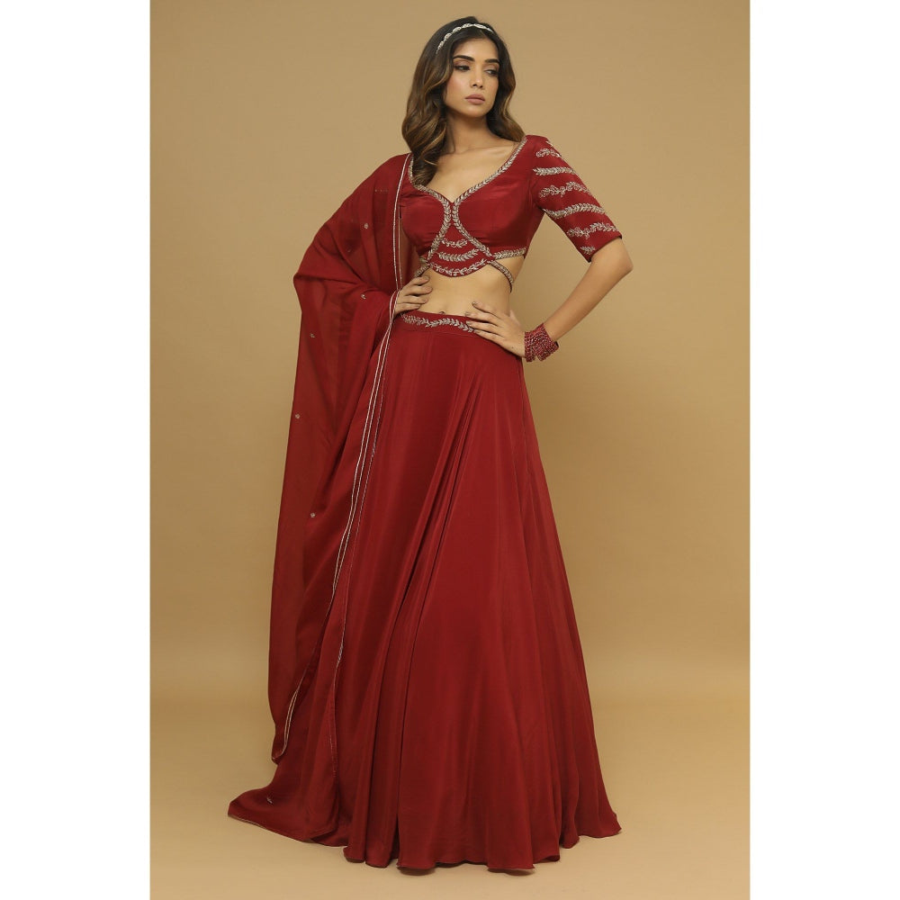 Ahi Clothing Maroon Lehenga (Set of 3)