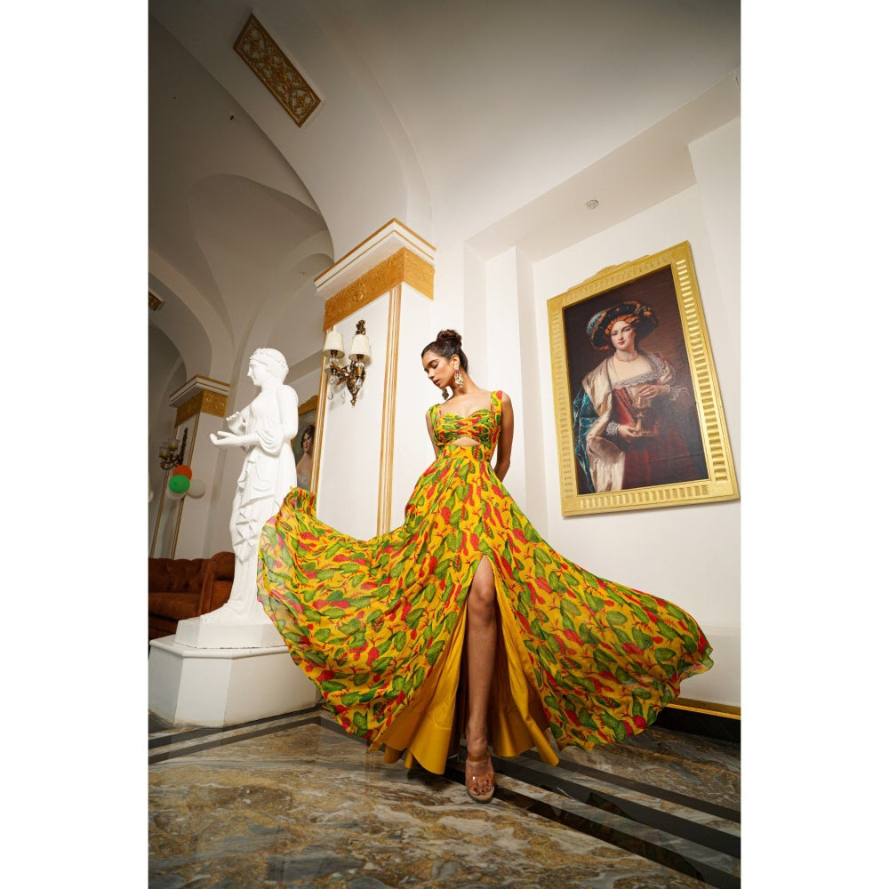 AHI Clothing Multicolor Ginger Flower Long Indo Lehenga with Bustier (Set of 2)