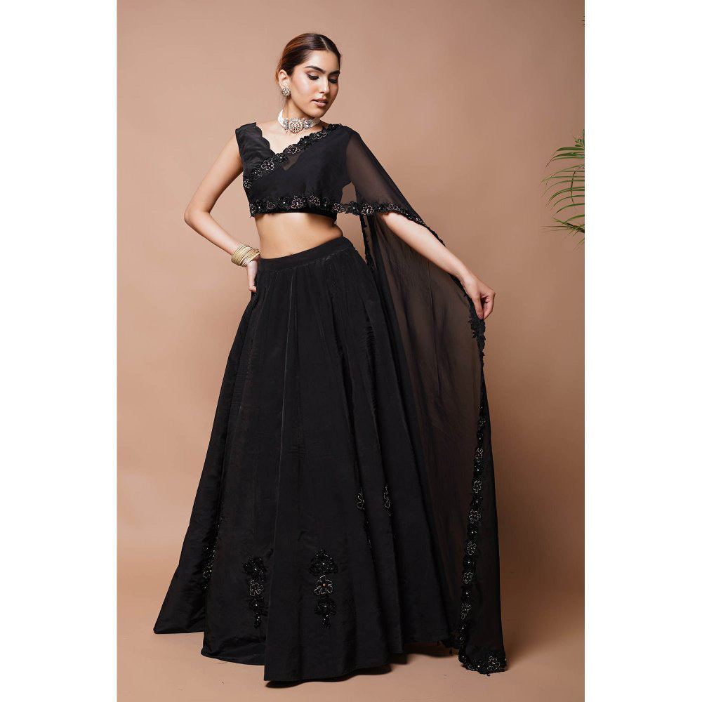 AHI Clothing Black Cutwork Lehenga with Blouse (Set of 2)