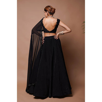 AHI Clothing Black Cutwork Lehenga with Blouse (Set of 2)