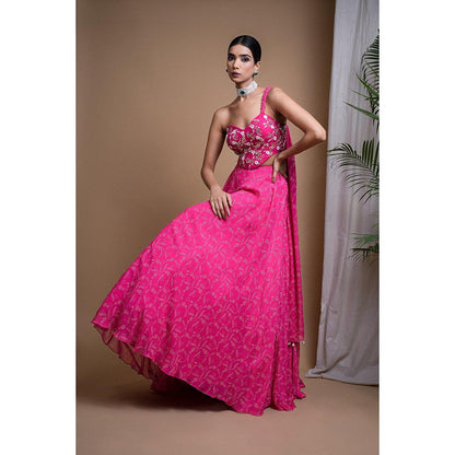 AHI Clothing Hot Pink Digital Print Indo Lehenga with Crop Top (Set of 2)