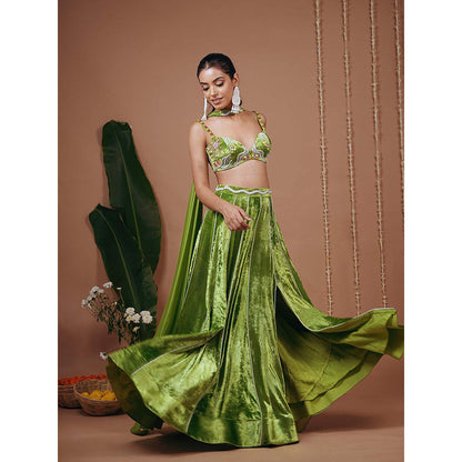 AHI Clothing Bright Green Velvet Indo Lehenga And Blouse With Dupatta