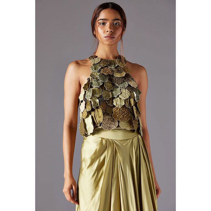 A Humming Way Mima Mounds Top With Marsh-Scapes Pleated Skirt and Living Stole- Dupatta