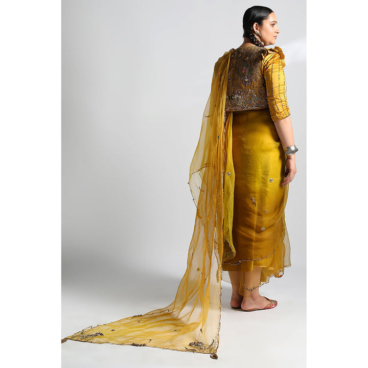 A Humming Way Paro Saree, Blouse & Cropped Jacket with Stitched Blouse