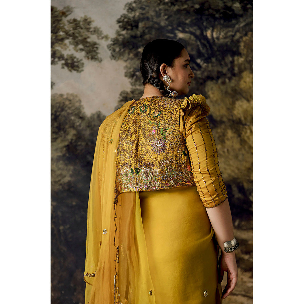 A Humming Way Paro Saree, Blouse & Cropped Jacket with Stitched Blouse