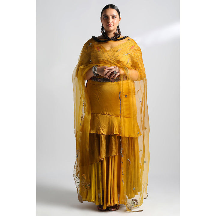 A Humming Way Amaltas Lehenga, Blouse & Paro Dupatta (Set of 3)