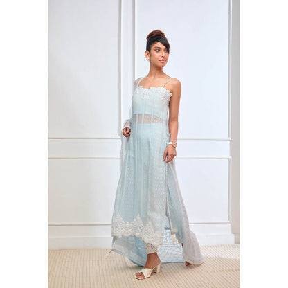 Aishwarya Tyagi Organza Jamdani Straight Fit Kurta with Pant & Dupatta (Set of 3)