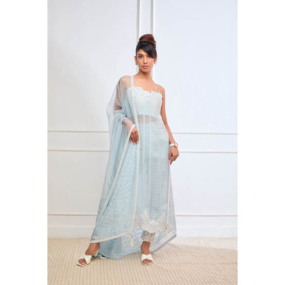 Aishwarya Tyagi Organza Jamdani Straight Fit Kurta with Pant & Dupatta (Set of 3)