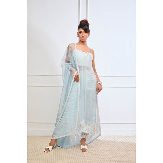 Aishwarya Tyagi Organza Jamdani Straight Fit Kurta with Pant & Dupatta (Set of 3)