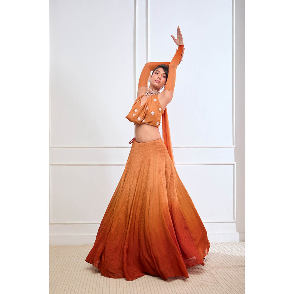 Aishwarya Tyagi Organza Cowl Neck Blouse with Lehenga & Dupatta Detachable Sleeves (Set of 4)