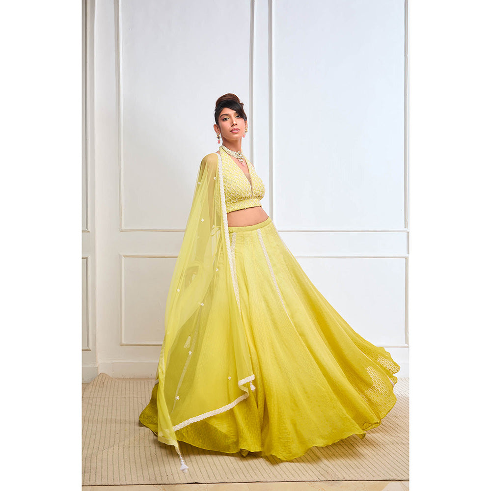 Aishwarya Tyagi Organza Jamdani Halter Blouse with Lehenga & Dupatta (Set of 3)