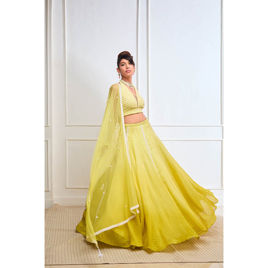 Aishwarya Tyagi Organza Jamdani Halter Blouse with Lehenga & Dupatta (Set of 3)