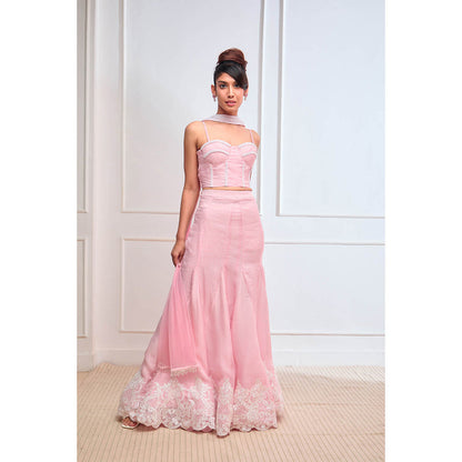 Aishwarya Tyagi Organza Jamdani Blouse with Godet Lehenga & Dupatta (Set of 3)