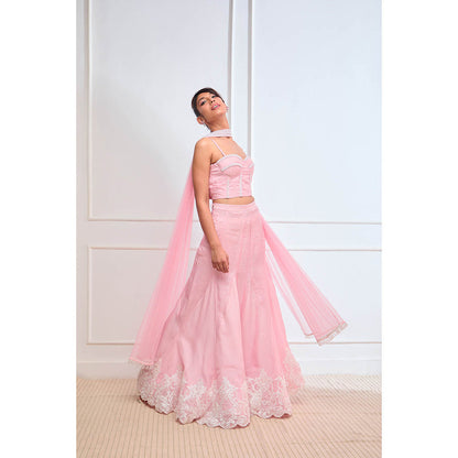 Aishwarya Tyagi Organza Jamdani Blouse with Godet Lehenga & Dupatta (Set of 3)