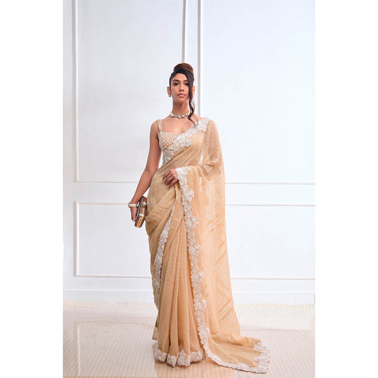 Aishwarya Tyagi Organza Jamdani Saree with Stitched Blouse & Underskirt