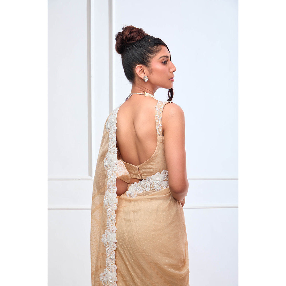 Aishwarya Tyagi Organza Jamdani Saree with Stitched Blouse & Underskirt