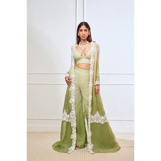 Aishwarya Tyagi Organza Jamdani Bustier with Jacket & Palazzo (Set of 3)